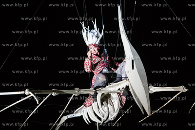 Gdansk. Plac Zebran Ludowych. XIX Miedzynarodowy Festiwal...