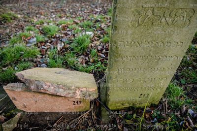 Gdansk. Zdewastowane przez nieznanych sprawcow plyty...