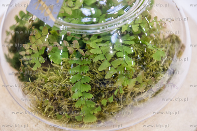 Miedzynarodowe Targi Gdanskie Amber Expo. Free Time...