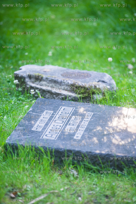 Gdańsk. Lapidarium w parku Akademickim. 17.07.2017...