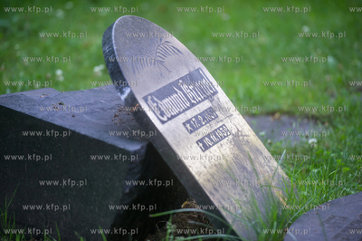 Gdańsk. Lapidarium w parku Akademickim. 17.07.2017...