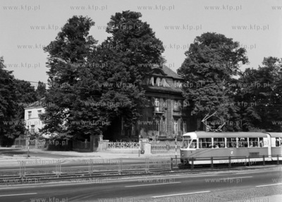 Aleja Grunwaldzka w Gdąńsku Wrzeszczu.
1961
0009630z
Fot....