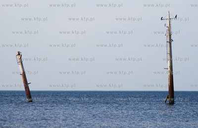 Miejscowosc Ulinia w gminie Wicko. Nz. Wystajace z...