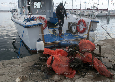 Dzien Eko Nurkowy zorganizowany w Gdyni zgromadzil...