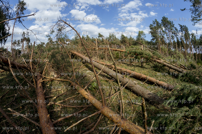 Skutki nawałnicy, która z piątku na sobotę przeszła...