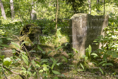 Cmentarz dawnej gminy żydowskiej w Skarszewach, założony...
