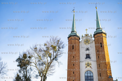 Zima w Gdańsku Oliwie. Nz. Archikatedra Oliwska. 23...