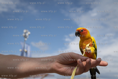 Otwarcie Mariny Puck. 

22.07.2023 Fot. Anna Bobrowska...