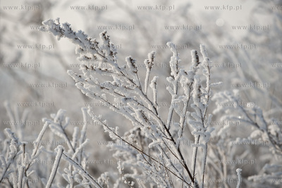 Piekna zima na zabytkowej ul. Wiezyckiej w Gdansku-Lostowicach.
16.01.2010
fot....