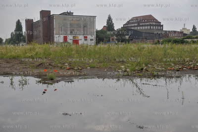 Tereny byłej Stoczni Gdańskiej. 14.07.2011 Fot. Maciej...