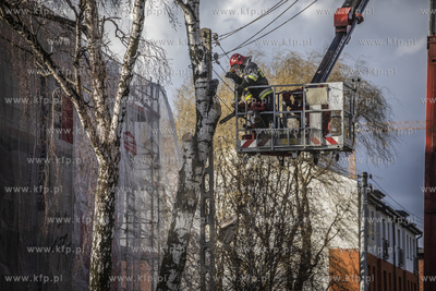 Akcja usuwania drzewa, które na skutek wichury oparło...