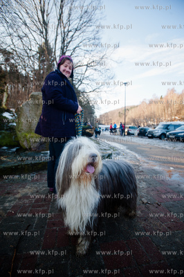 Gdynia. Polanka Redlowska. Pomorski Puchar Dogtrekkingu.
08.02.2014
fot....