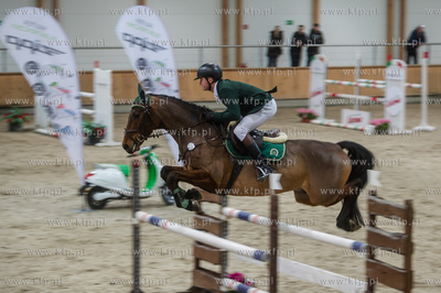 Hipodrom Sopot. Hala Pomarańczowa. Halowe Zawody w...