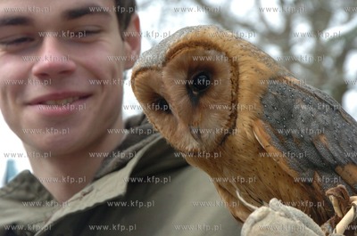 Technikum Lesne w Warcinie woj. pomorskie. Ptaszarnia,...