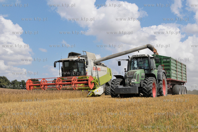 Zniwa w okolicy Pelplina
07.08.2009
fot. Krzysztof...