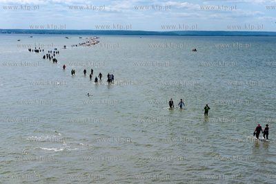 Marsz Sledzia odbywa sie Rybitwia Mielizna (Rewa Mew)...