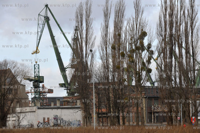 Tereny bylej Stoczni Gdansk, Mlode Miasto. 5.02.2016...