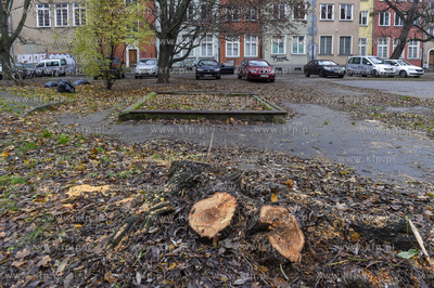 Gdańsk. Podwórkowa piaskownica pomiędzy Długim...