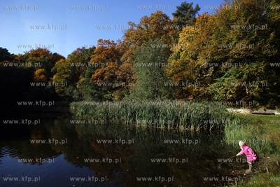 Sopot. Staw Morskie Oko.
14.10.2013
fot. Krzysztof...