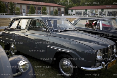 Rock Blu Przywidz Festival. Festiwalowi towarzyszyło...