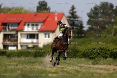 Hipodrom w Sopocie. Wszechstronny Konkurs Konia Wierzchowego...