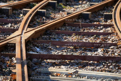 Pordzewiałe szyny tramwajowe na Stogach, po których...