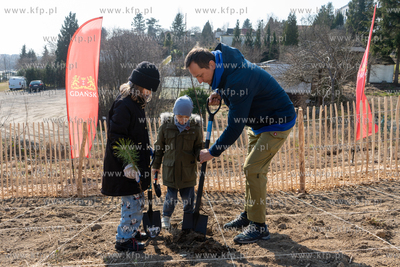 Na Gdańskim Jasieniu przy ul. Stolema powsta IV Miejski...