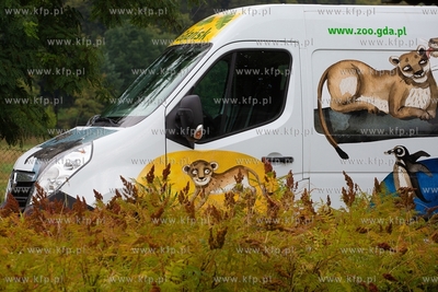 Międzynarodowy Dzień Lwa w gdańskim ZOO. 10.08.2018...