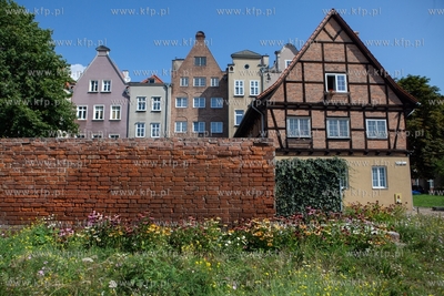 Łąka w centrum miasta. Gdańsk, róg ul. Zbytki i...