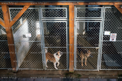 Walentynkowy Dzień Otwarty w Sopotkowie. 12.02.2023...
