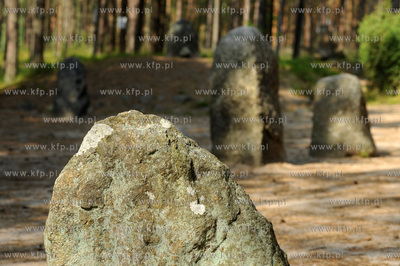 Wesiory. Miejsce obrzedowe i cmentarzysko Gotow z I-II...