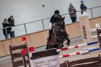 Hipodrom Sopot. Hala Pomarańczowa. Halowe Zawody w...