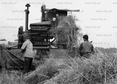 Zniwa w Powiecie Gdanskim. 1960
odb_16_11_13
Fot....