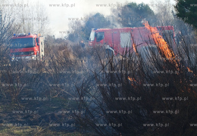 Gdansk. Groznego pozaru na terenie bylego poligonu...