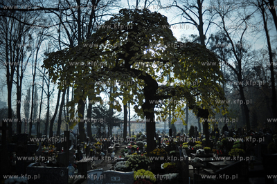 Dzien Wszystkich Swietych w Gdansku, w tym specjalnym...