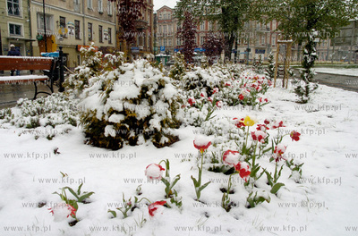 Slupsk

Nietypowa aura w Slupsku. W calym regionie...