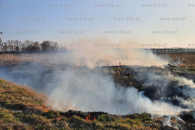Nielegalne wypalanie traw przy ulicy Wołyńskiej w...