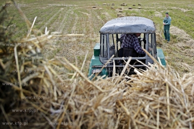 Rolnicy zbieraja slome na polu w Sztumie.
09.08.2012
fot....