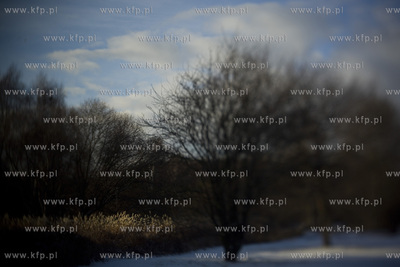 Park Ronalda Reagana.
20.01.2016
fot. Krzysztof Mystkowski...