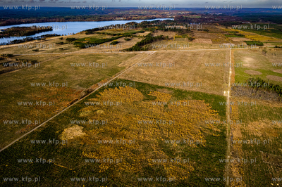 Na terenach Nadleśnictwa Lipusz (Leśnictwo Kłodno,...
