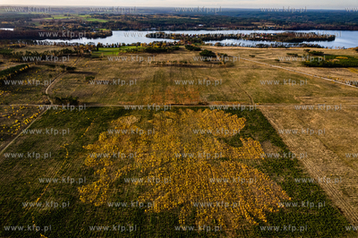 Na terenach Nadleśnictwa Lipusz (Leśnictwo Kłodno,...