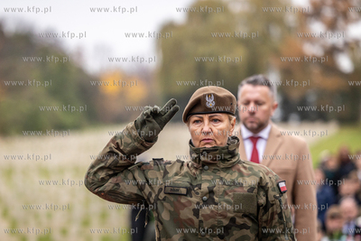 Cmentarz Francuski w Gdańsku - obchody Święta Niepodległosci...