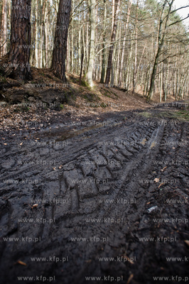 Gdansk. Oliwa, Trojmiejski Park Krajobrazowy. Sciezka...