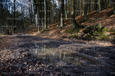 Gdansk. Oliwa, Trojmiejski Park Krajobrazowy. Sciezka...