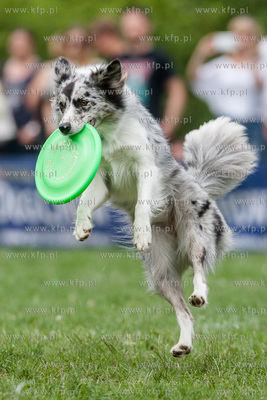 Sopot. Łazienki Połnocne. Zawody Latających Psów.
Nz...
