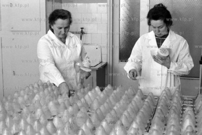 Stacja Oceny Nasion w Gdańsku. 
17.01.1977
3styczen77_z.kosycarz_p27
Fot....