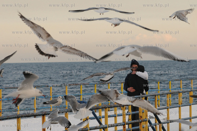 Ptaki przy Bulwarze Nadmorskim w Gdyni
21.02.2009
Fot....