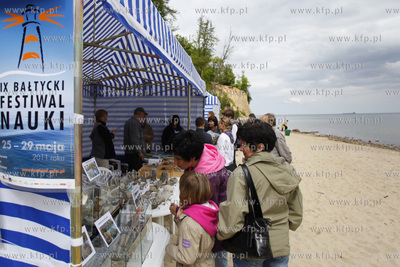 Gdynia Orlowo. Baltycki Festiwal Nauki. Piknik geologiczny...