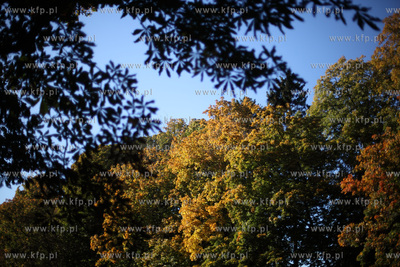 Gdansk. Park Przymorze.
17.10.2012
fot. Krzysztof...