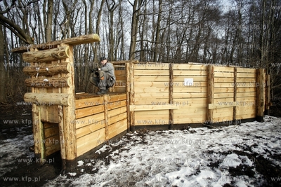 Gdansk. Odlownia dzikow w Parku Reagana.
27.02.2013
fot.Krzysztof...